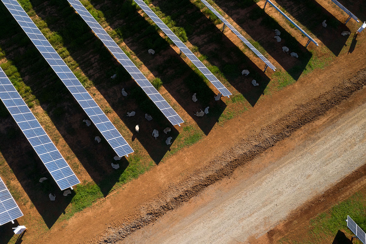 Australian guide to agrisolar for large-scale solar
